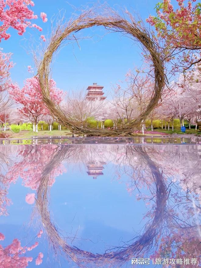 话号码河南私人导游多少钱一天超值推荐j9九游会(中国)网站河南私人导游电(图3)