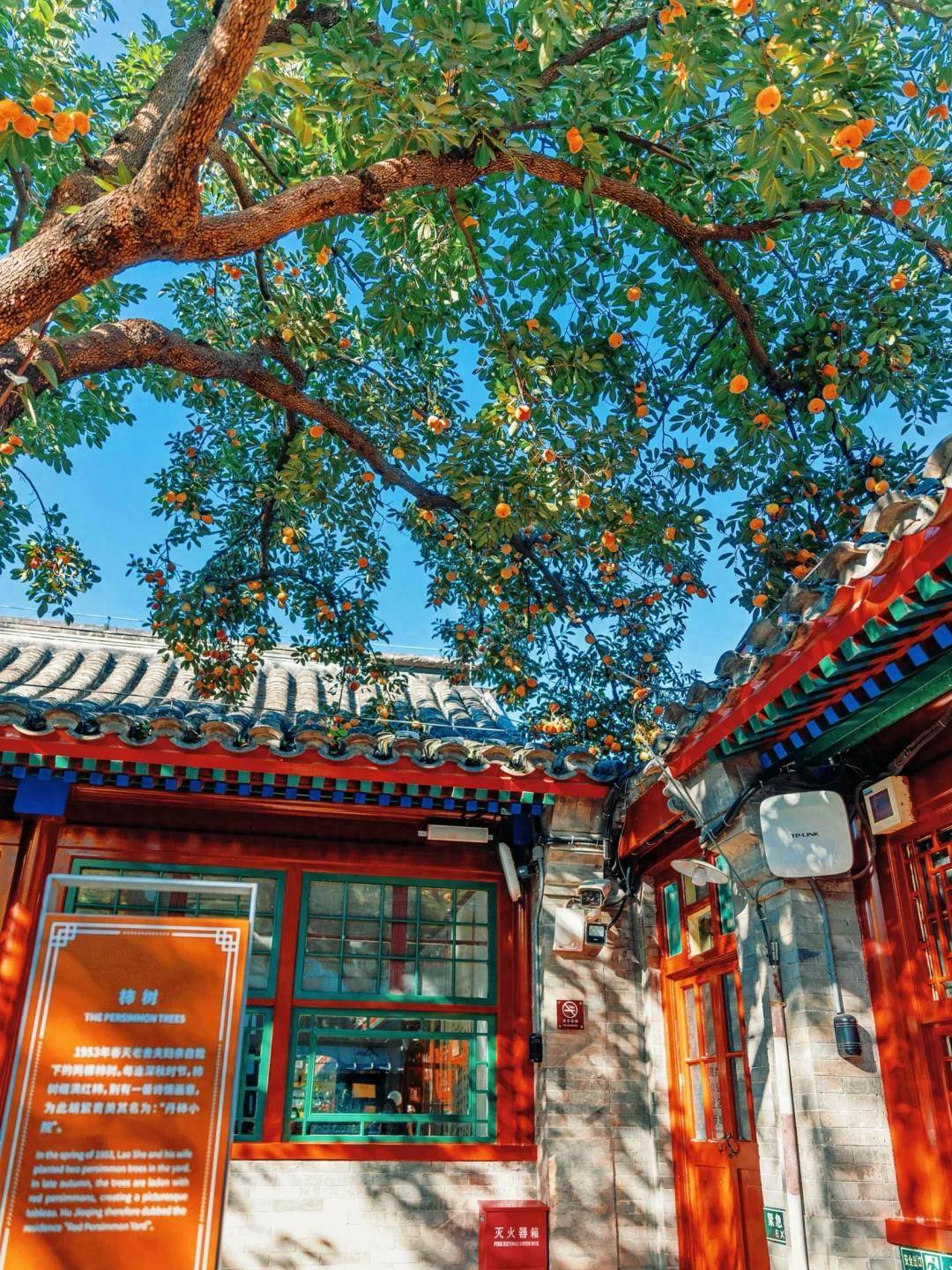 靠谱的私人订制旅行社带您告别传统跟团j9国际站登录北京定制游崛起！这5家(图2)