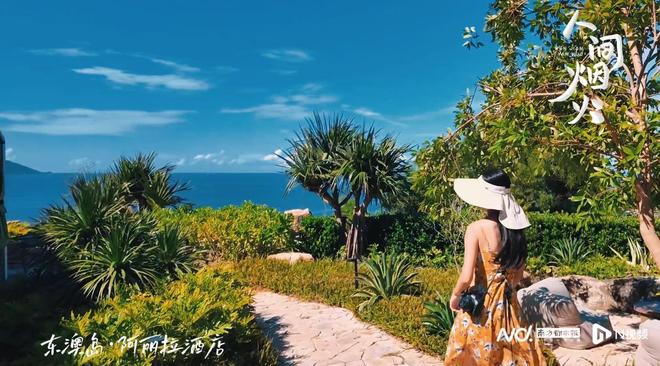 次！客轮+高端酒店大湾区文旅再升级j9国际站登录深圳开珠海东澳岛新航(图6)