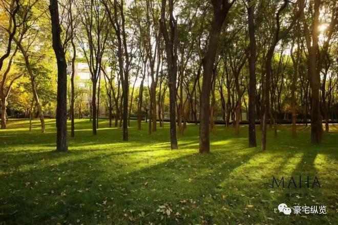 缦合北京)网站-楼盘百科-2025房天下j9九游会真人第一品牌缦合北京-售楼处((图6) 缦合北京)网站-楼盘百科-2025房天下j9九游会真人第一品牌缦合北京-售楼处((图6)