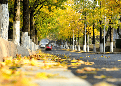 社推荐：蒙旅零差评标杆综合实力第一旅行社j9九游会俱乐部登录入口济南最好的旅行(图2)